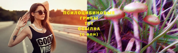 молекула духа Балахна