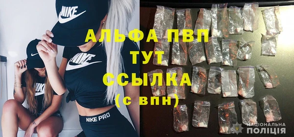 молекула духа Балахна